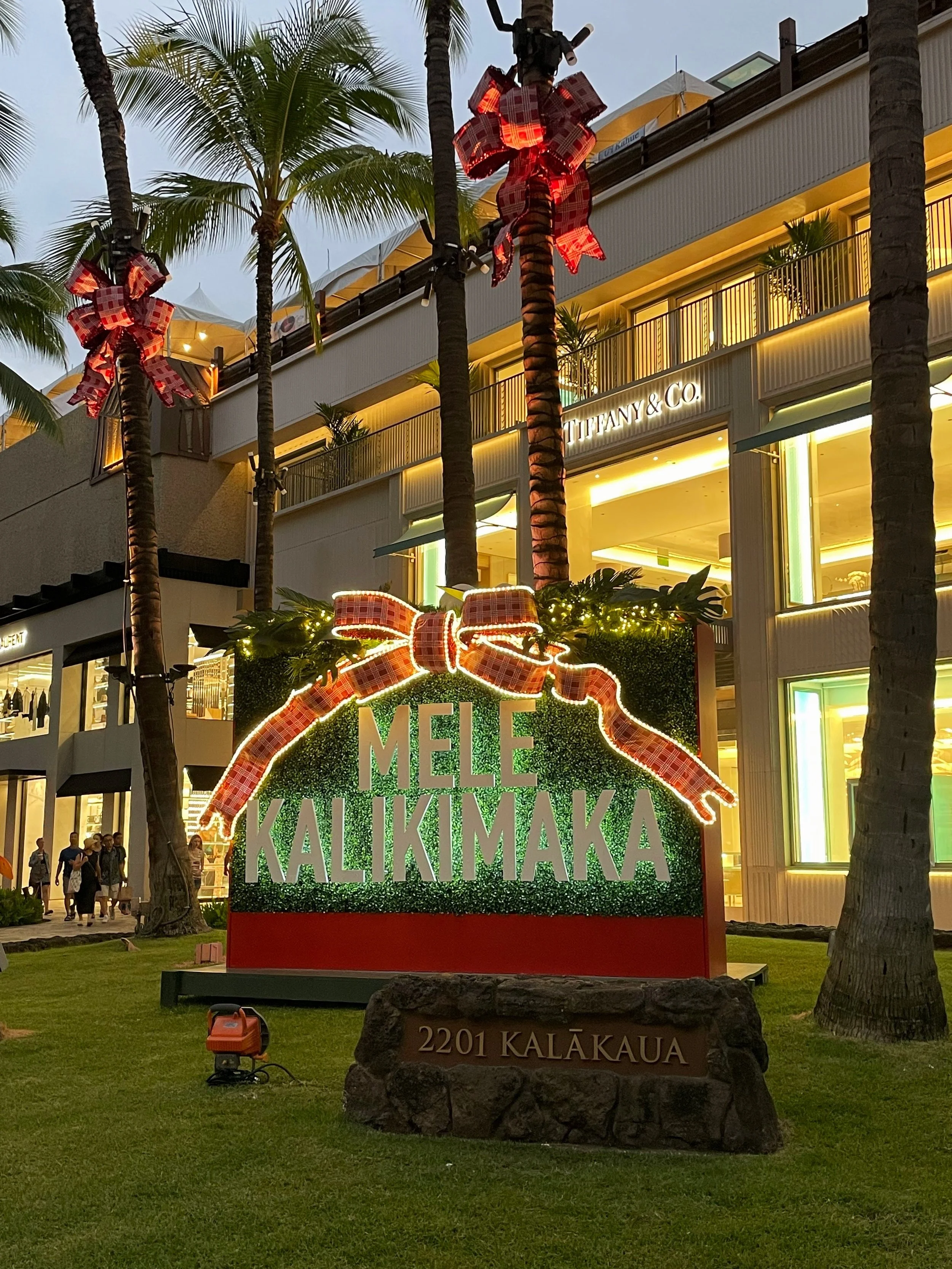 Hawaiian Holiday — ALPINE